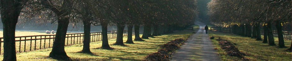 Community development news News about the development of educational technology environmental news